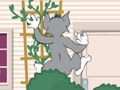 Játék Tom und Jerry: Wasserbomben Wahnsinn online