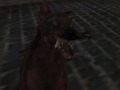 Játék Náci zombi hadsereg  online