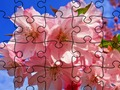 Játék Jigsaw Puzzle: Virágok  online