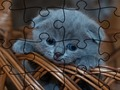 Játék Jigsaw Puzzle: Macskák  online