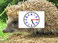 Játék Puzzle Pics órák  online