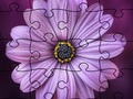 Játék Nyári puzzle  online