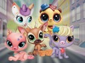 Játék Little Pet Shop: Bújócska  online