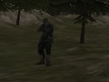 Játék FPS Ügynökség: Erdő  online