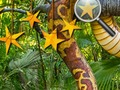 Játék Jungle Rejtett Csillagok  online