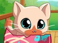 Játék A Pocket Pets Kitty Cat  online