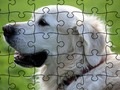Játék Jigsaw Puzzle Háziasított állatok  online