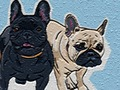 Játék Puppy Puzzle idő  online