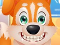 Játék Aranyos kiskutya fogorvos  online
