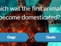 Játék Állati trivia  online