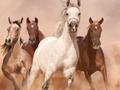 Játék Lovak puzzle  online
