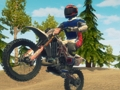 Játék Dirt Bike Enduro Racing online