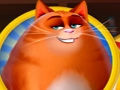 Játék Kitty tülekedés  online