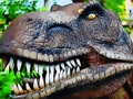 Játék Tyrannosaurus Rex húsevő kirakós játék  online