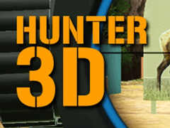 Játék Hunter 3D online