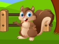 Játék Mókus farm menekülés  online