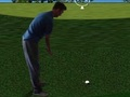 Játék Flash Golf 3D  online