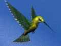 Játék Kolibri ház menekülés  online