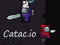 Játék Catac. io  online