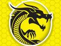 Játék Kung Fu düh  online