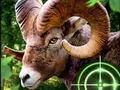 Játék Őrült kecske Hunter 2020 online