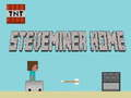 Játék Steveminer Otthon  online