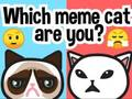 Játék Melyik mém macska vagy?  online