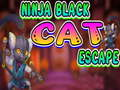Játék Ninja fekete macska menekül online