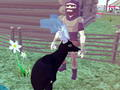 Játék Szarvas -szimulátor 3D online