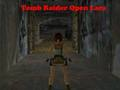 Játék Tomb Raider Nyissa meg Lara  online