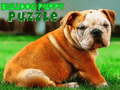 Játék Bulldog kölyökkutya puzzle online
