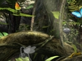 Játék Fairy Woods Rejtett Tárgyak  online