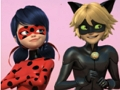 Játék Csodálatos katicabogár és Cat Noir kirakós játék  online