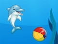 Játék Delfin Show  online
