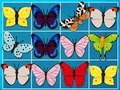Játék Mahjong királya  online