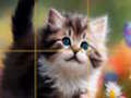 Játék Puzzle csúszó cicák  online