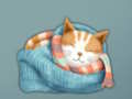 Játék Imádnivaló Escape Find Cute Kitten  online