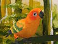 Játék Aranyos Budgie Puzzle  online