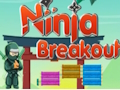 Játék Ninja kitörés online