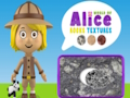 Játék Alice Rocks textúrák világa  online
