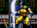 Játék Wolverine – Adamantium Rage  online