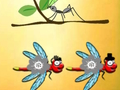 Játék Keresse meg Dragonfly Coopert  online