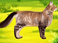 Játék Cat Pet Doctor Fogorvos  online