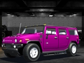 Játék Wild Race Master 3D online