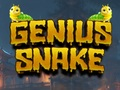 Játék Zseniális kígyó  online