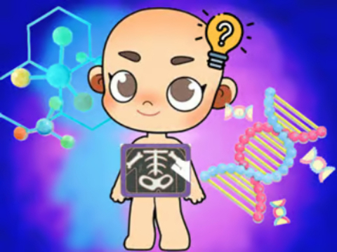 Játék Kids kvíz: testtudomány  online