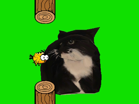 Játék Flappy madár forog oia oia macska  online