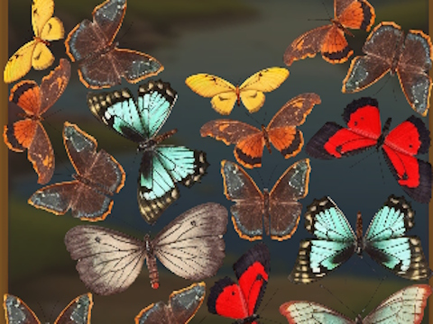 Játék Mergebuterfly: 2048! online