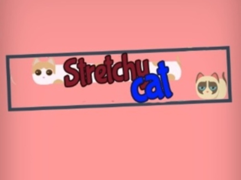 Játék Elgondolt macska  online