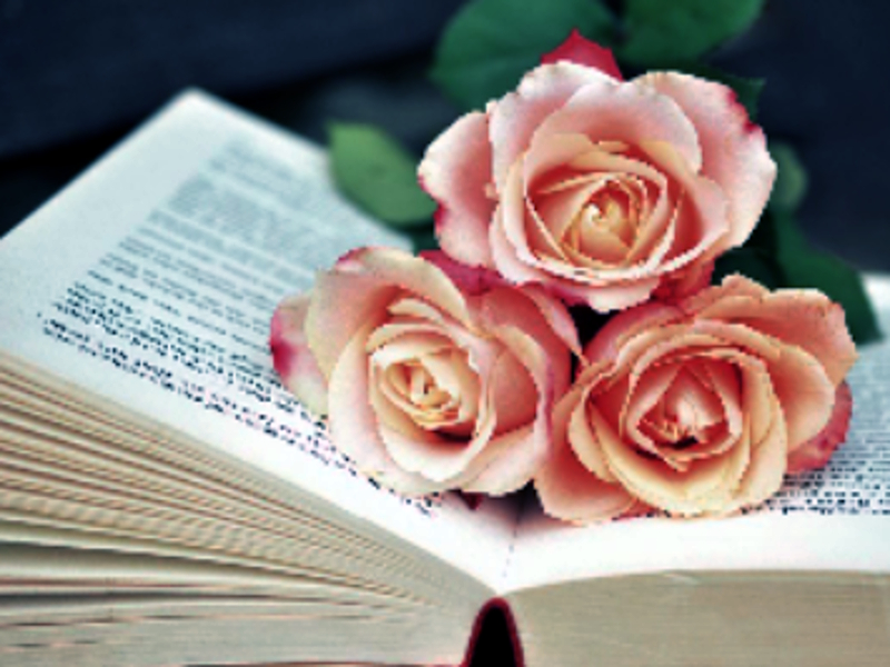 Játék Book of Blooms Jigsaw online